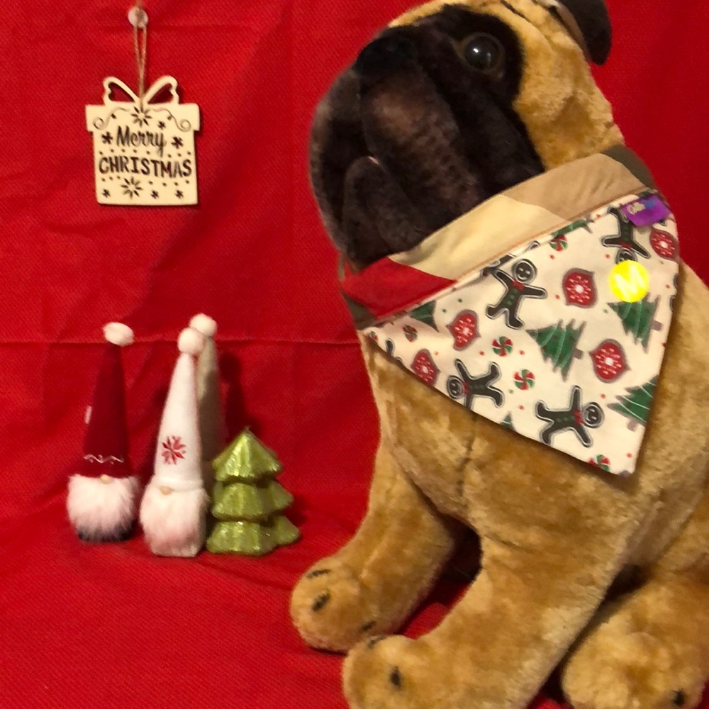 Pet bandanna